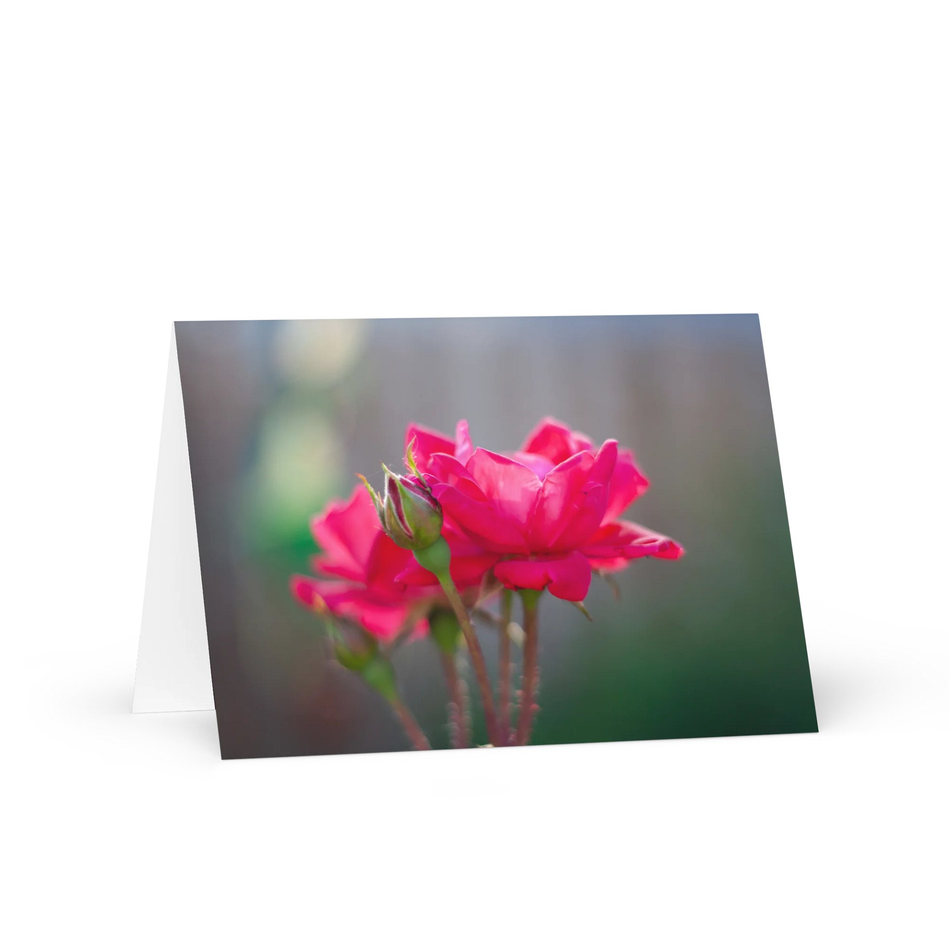 Blossom Bliss Greeting Card product image (1)