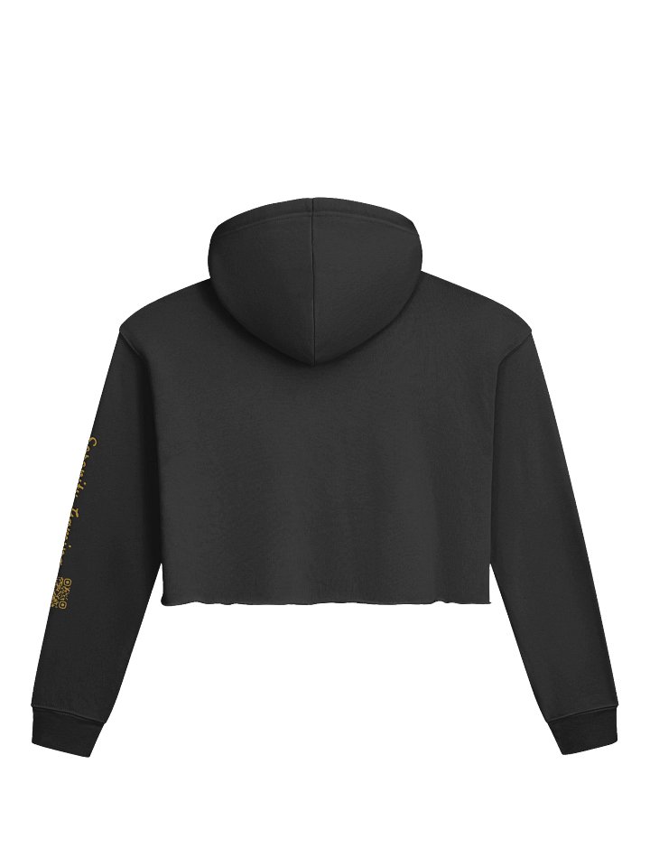 Level 99 Crop Hoodie product image (2)