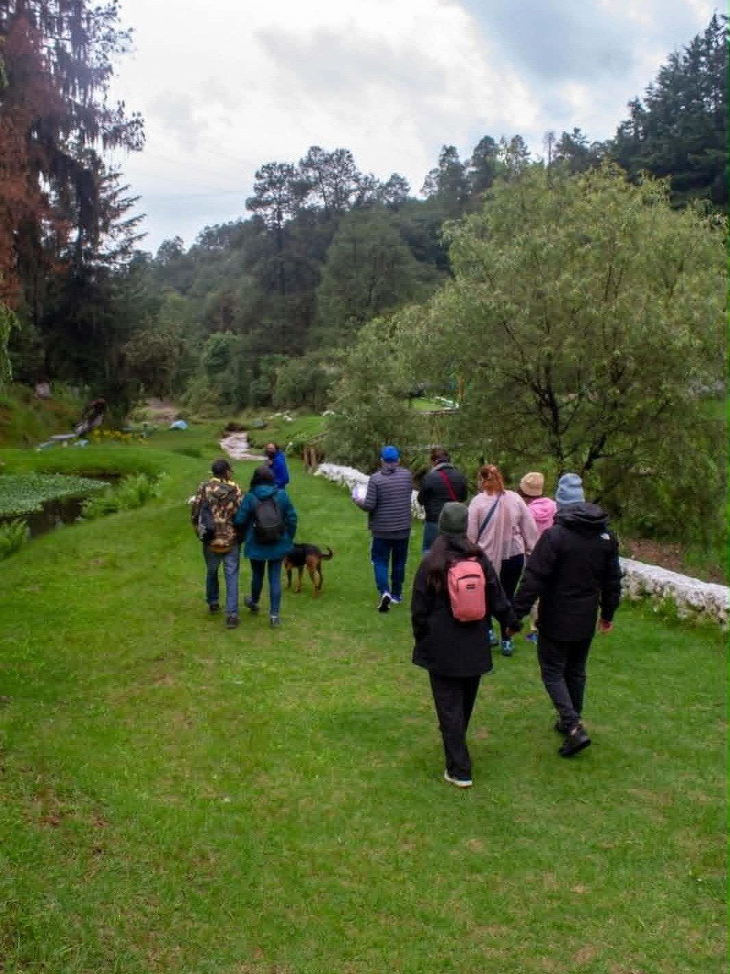 PAQUETE 2- SANTUARIO DE LAS LUCIÉRNAGAS + EX HACIENDA DE CHAUTLA + RANCHO SAN MARTÍN 🌿🐰 product image (9)