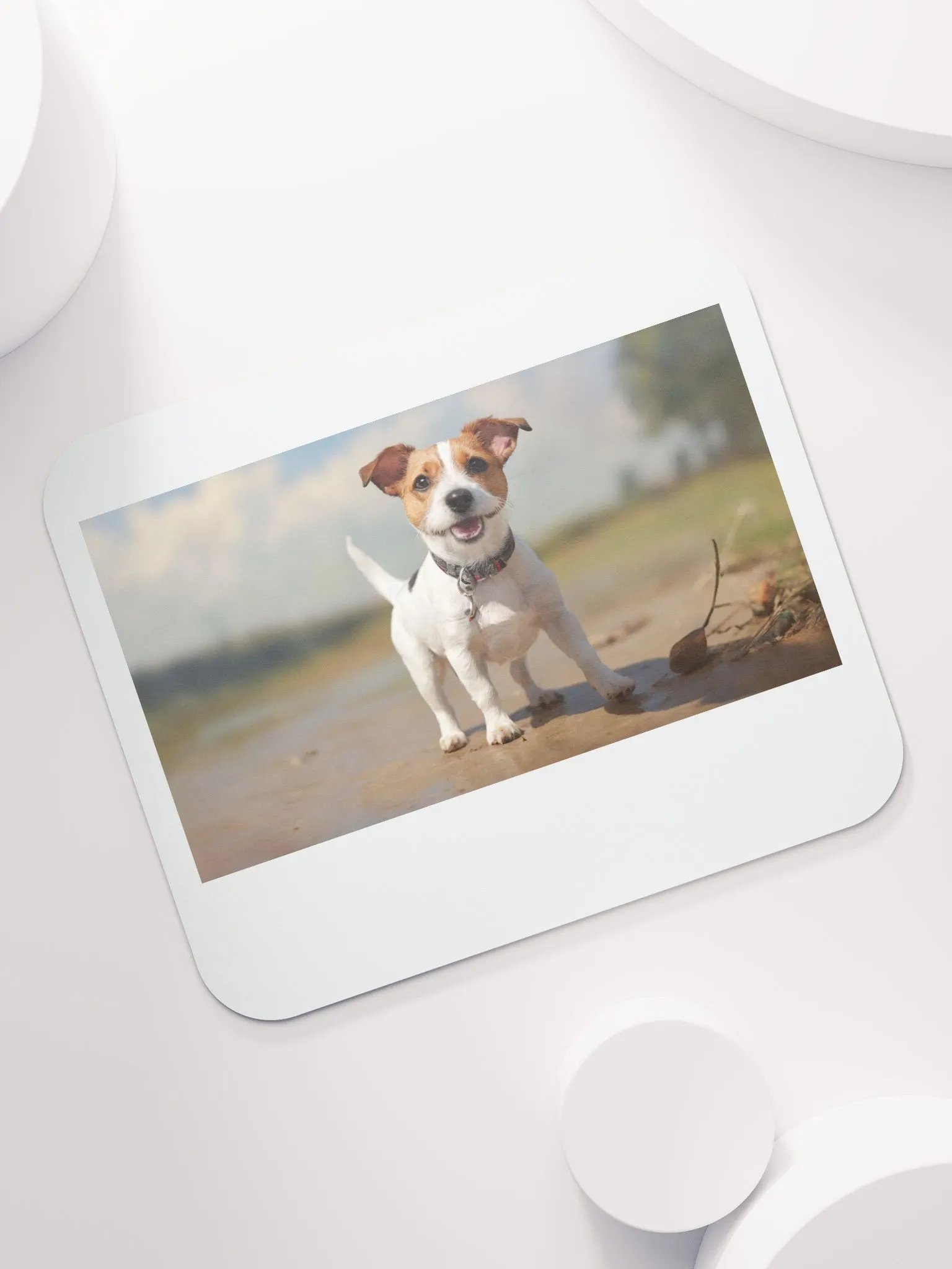 dog love product image (7)