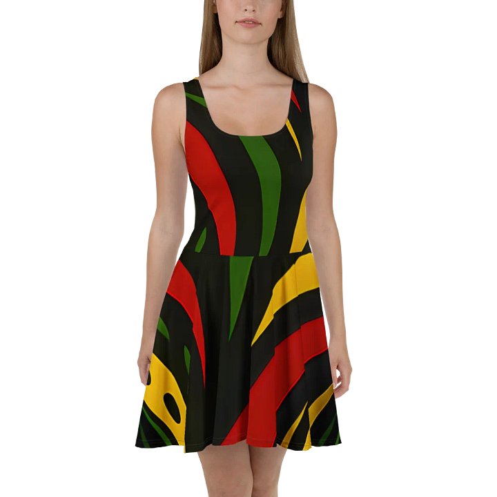 Rasta Spirit Geometric Skater Dress product image (2)