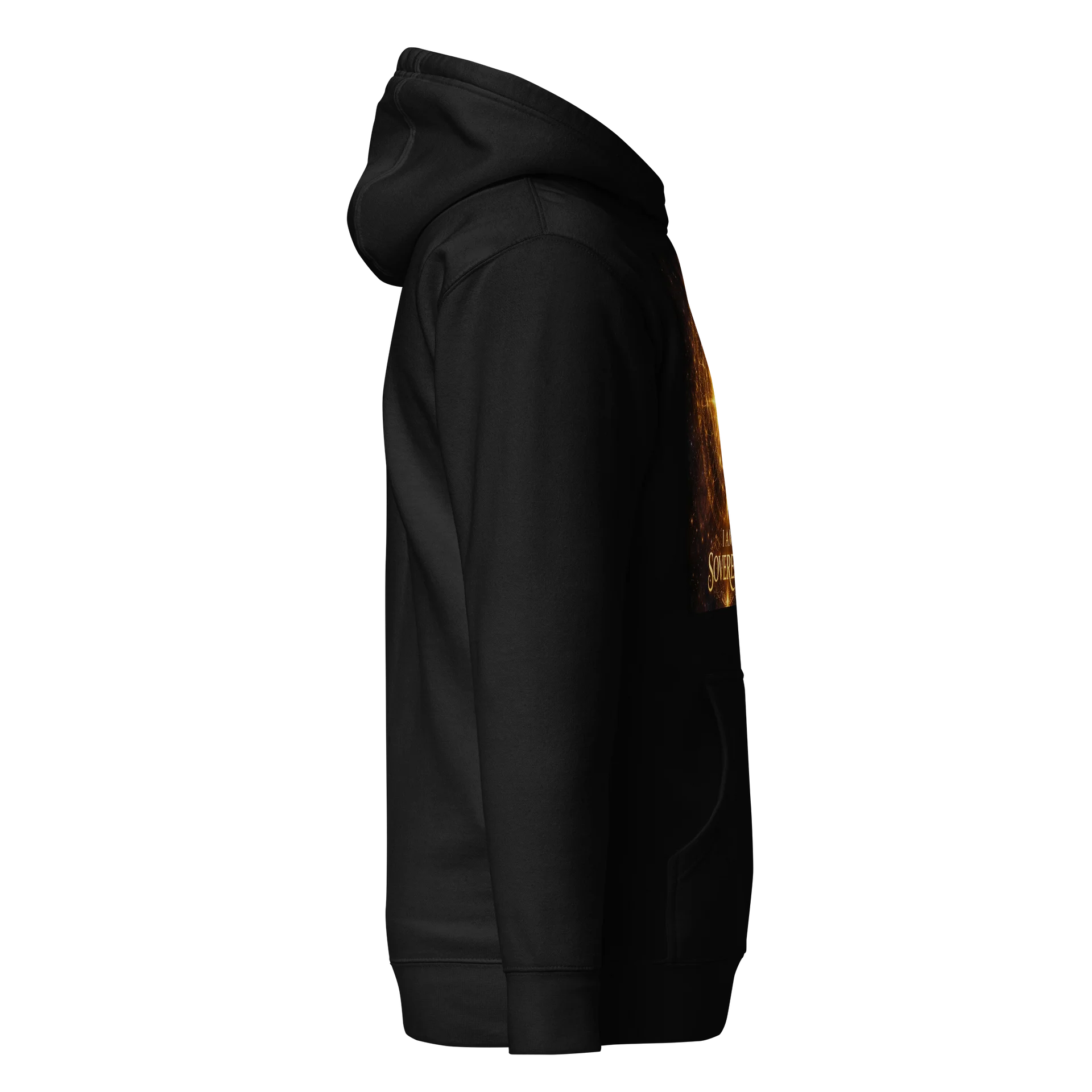 Sovereignty Declaration -Unisex Hoodie product image (4)