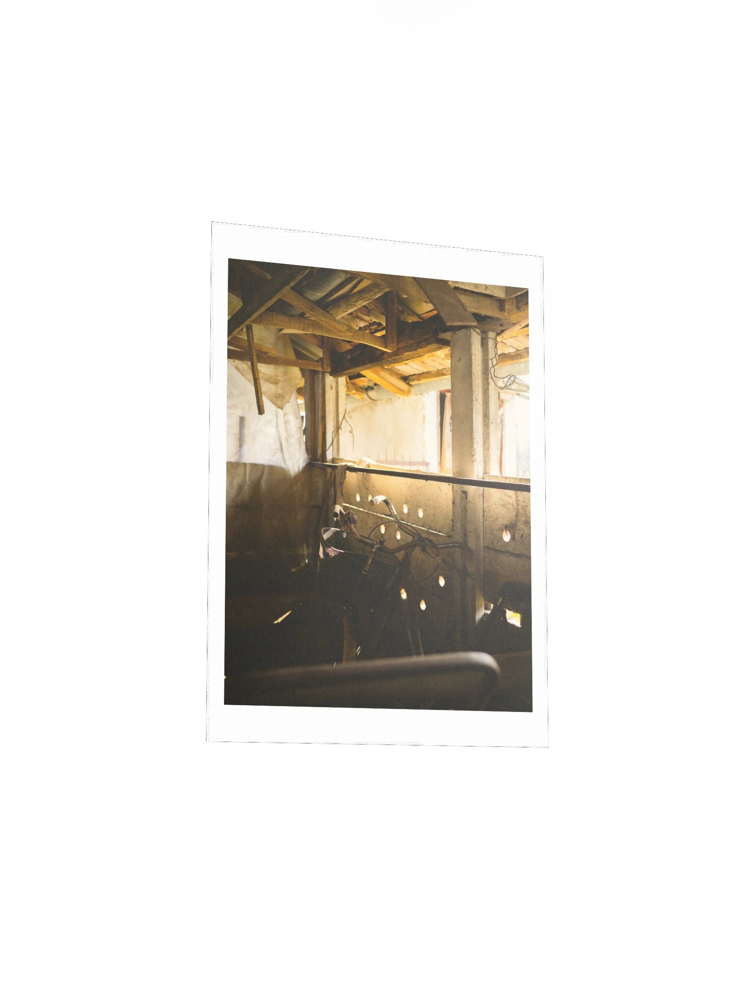 My Grandma’s Yard - Countryside Photography Print product image (4)