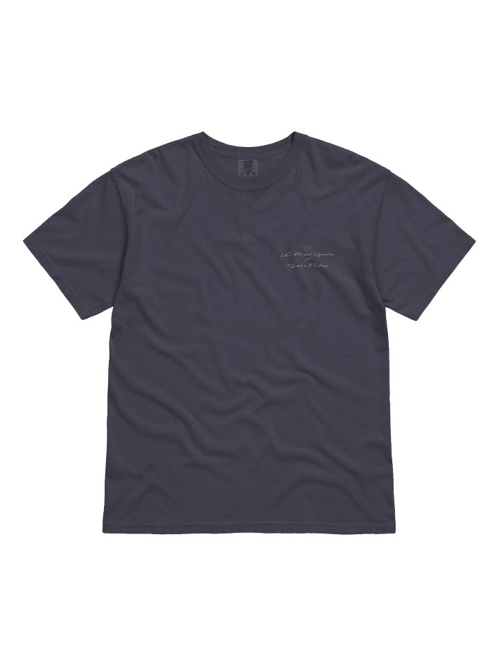 Desert Guardian product image (6)