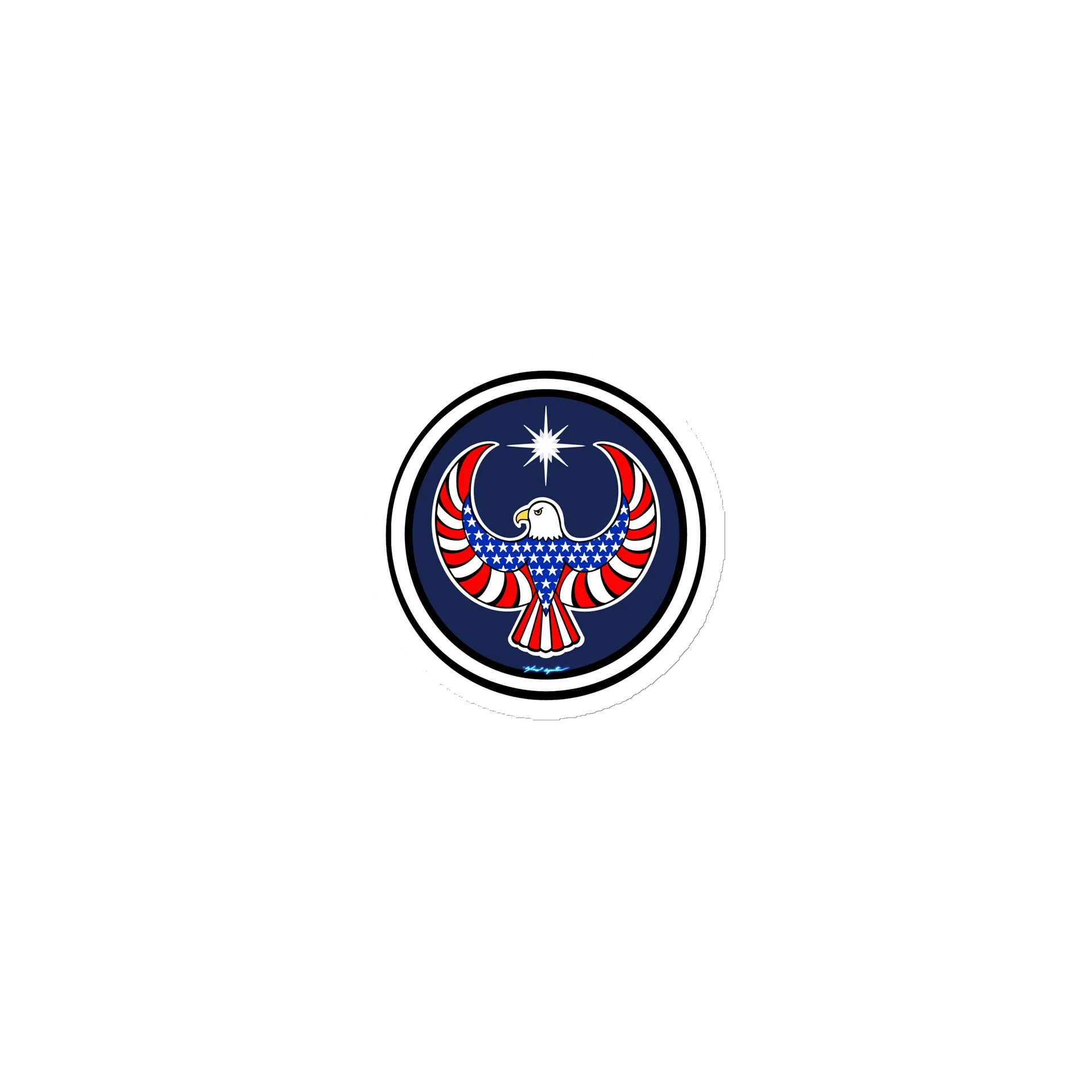 USA Eagle- Resistance (magnet) product image (1)