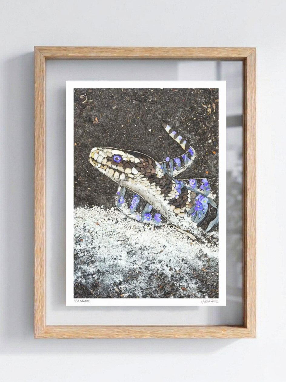 SEA SNAKE | Fine Art Print product image (1)
