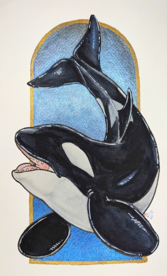 Orca Blue & Gold product image (1)