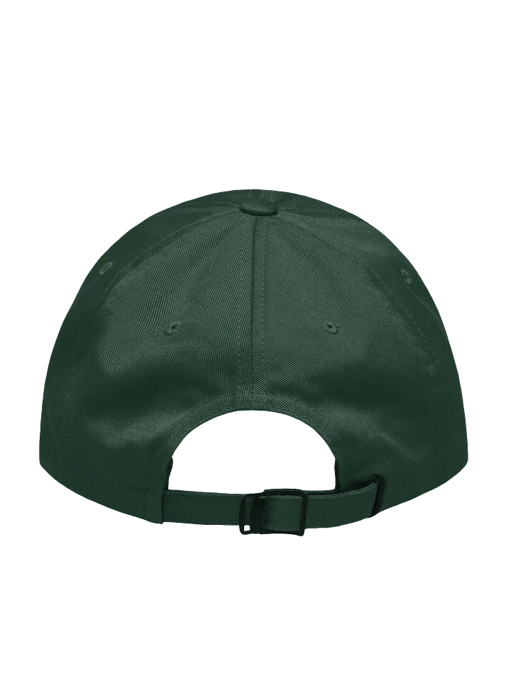 the walking club product image (2)