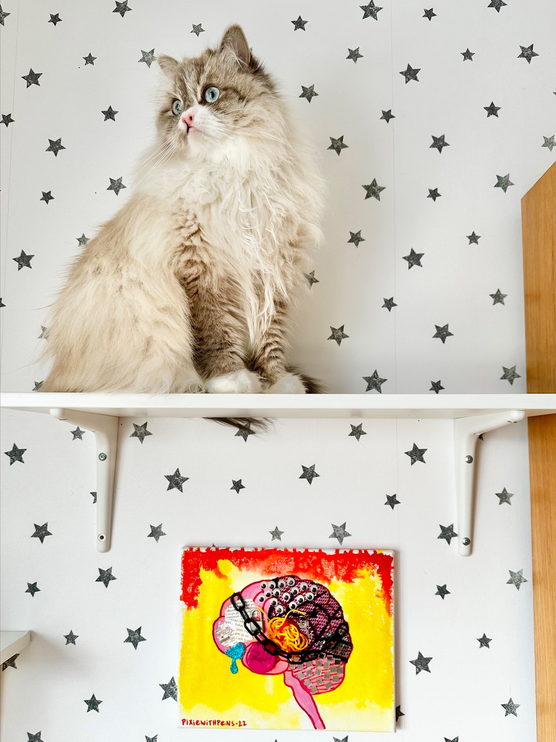 'batshit normal' mixed media on canvas original product image (4)