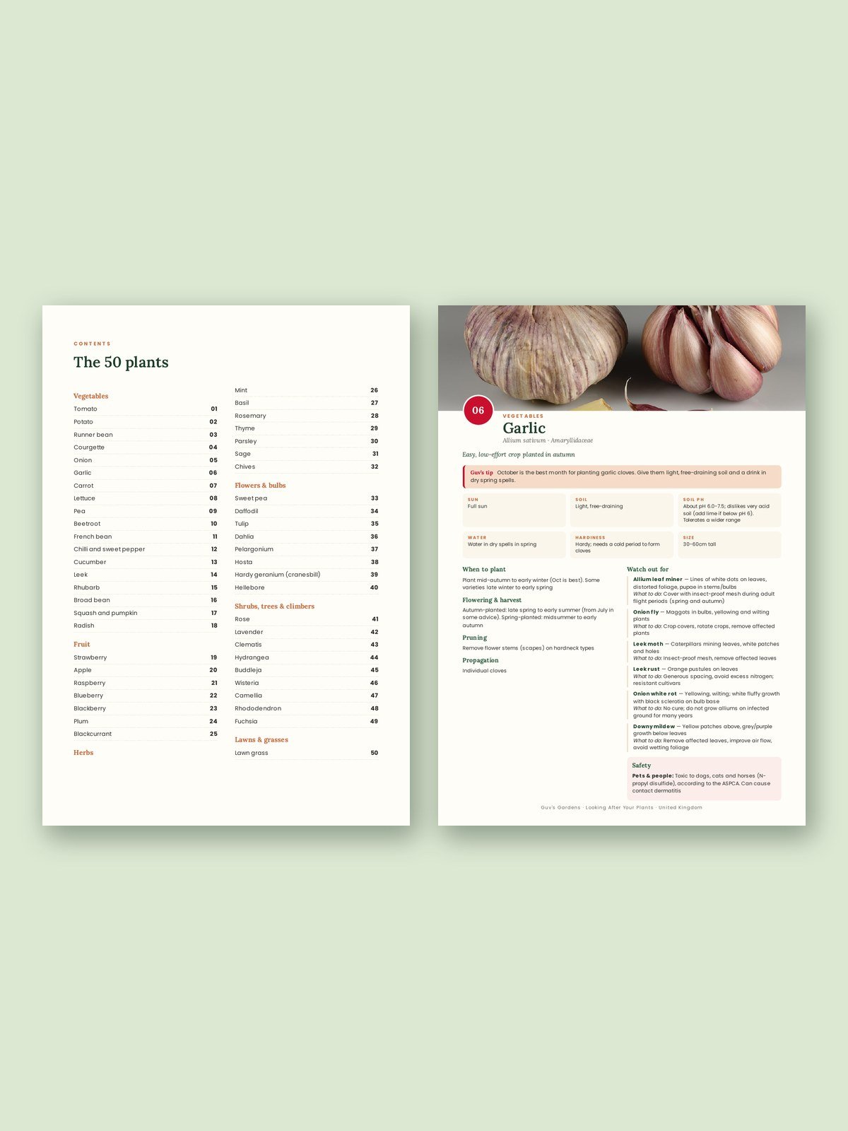 Looking After Your Plants (UK Edition) product image (2)
