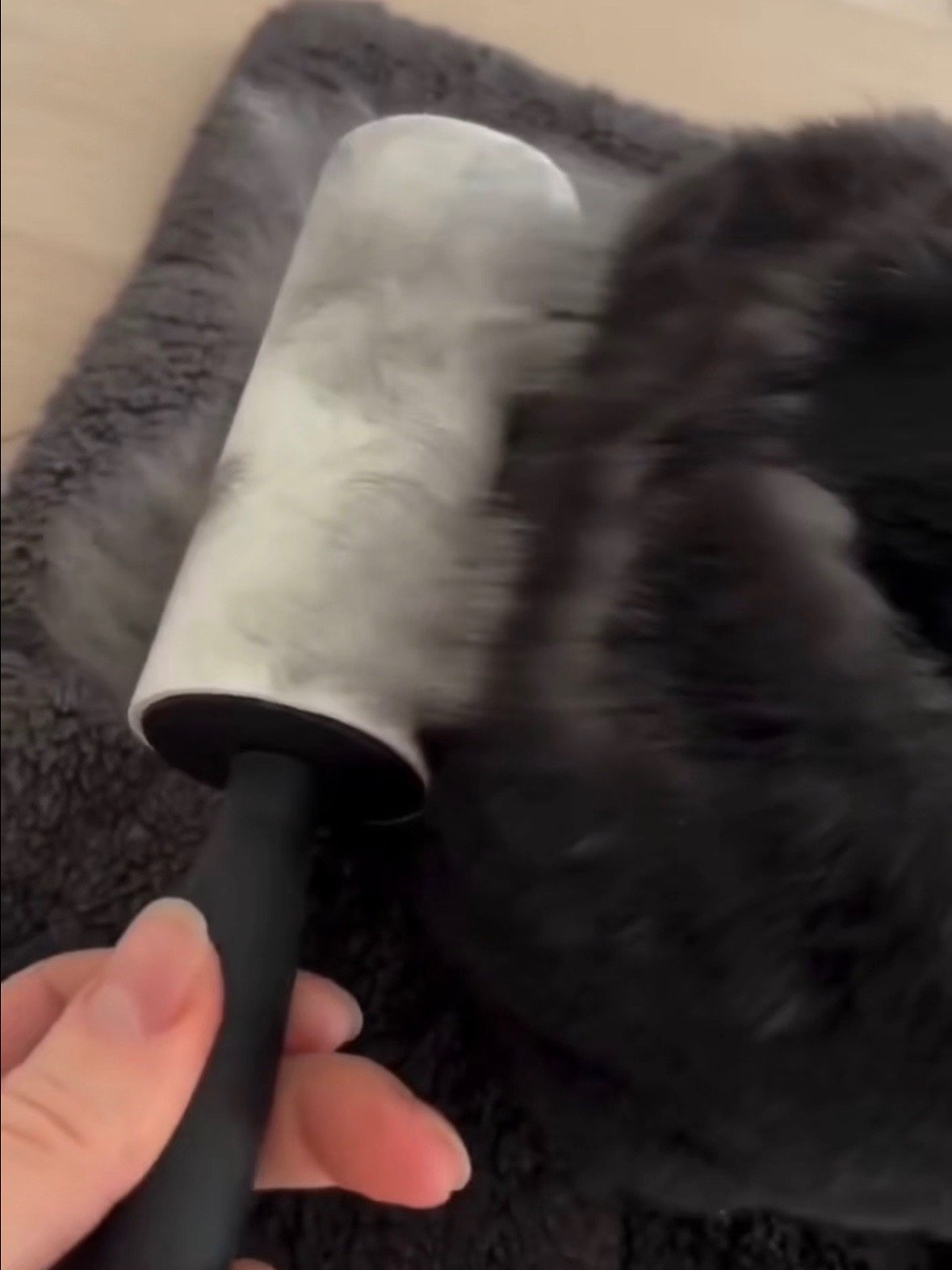 Pet Hair Lint Rollers (pack of 5) product image (2)
