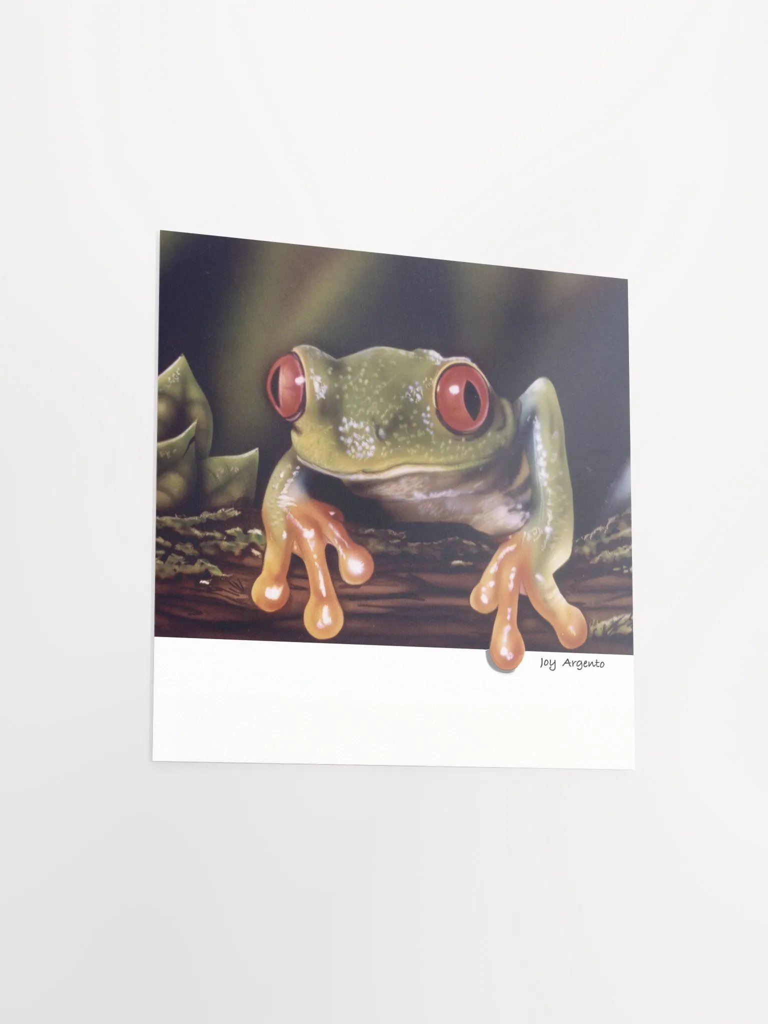 Tree Frog on a Log Print product image (3)
