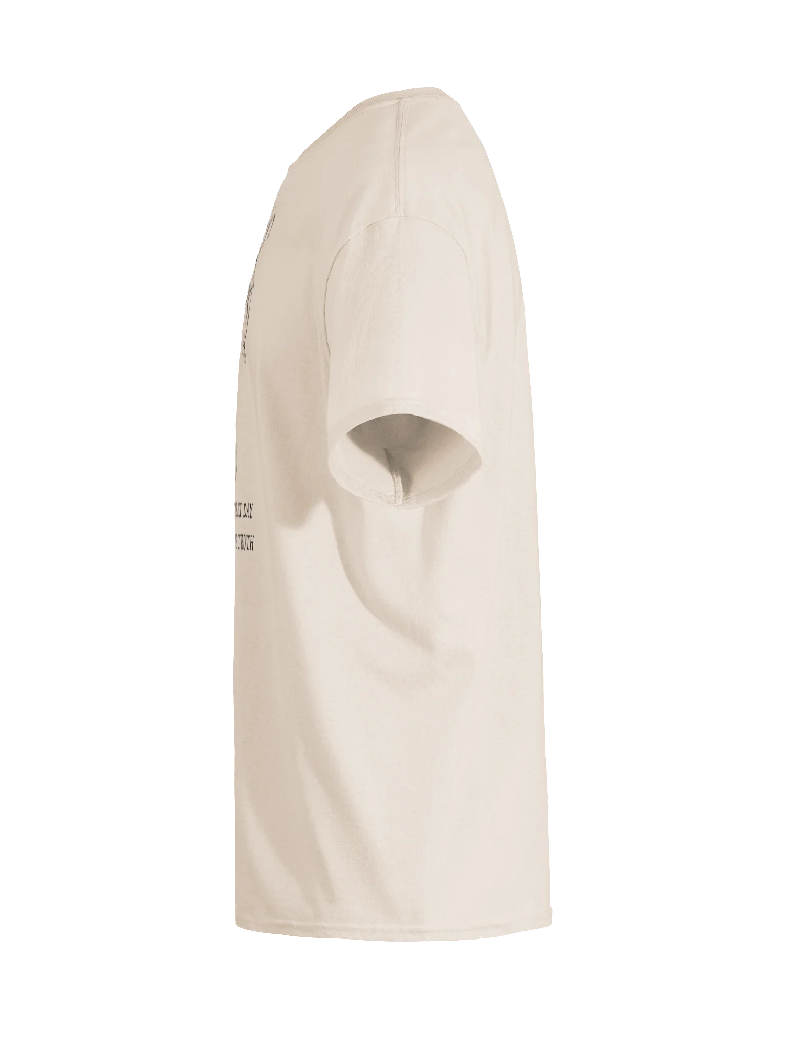 I AM HAVING A GREAT DAY REGARDLESS OF THE TRUTH product image (19)