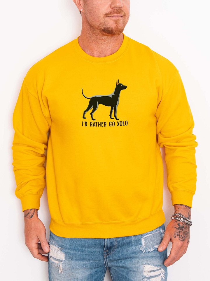 I'd Rather Go Xolo Sweatshirt (Embroidered) of a Xoloitzcuintli(Black) product image (2)