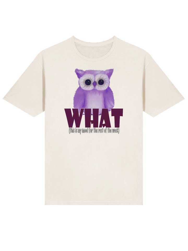 Unisex Gildan Softstyle T-Shirt product image (2)