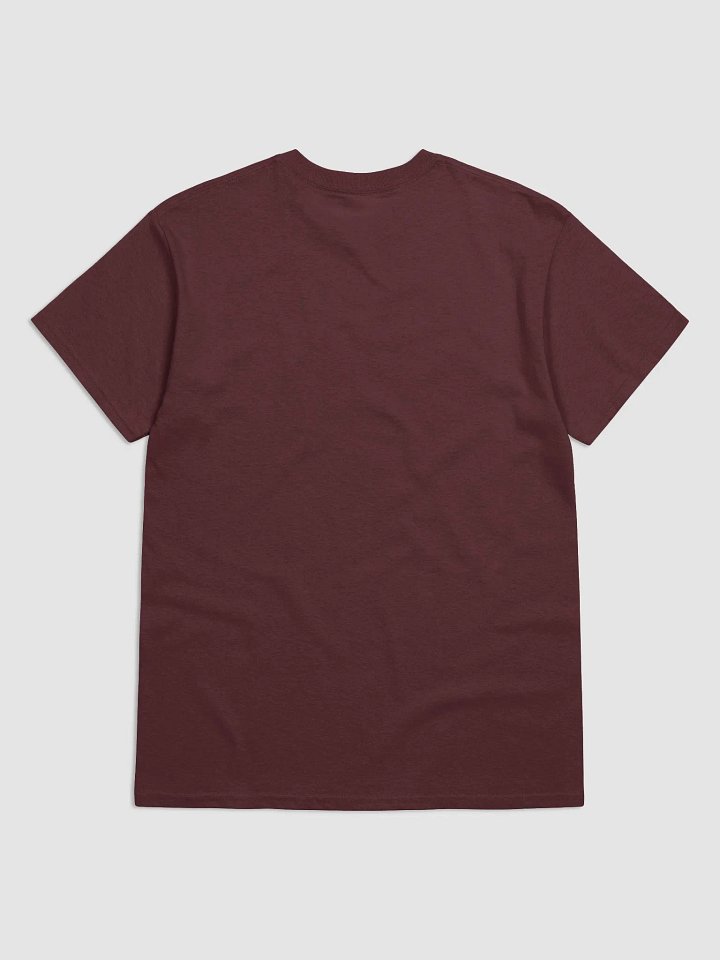 Galway/Gaillimh Scholastic style Ogham Maroon printed T-shirt product image (2)