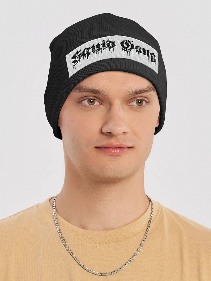 Official Beenie product image (1)