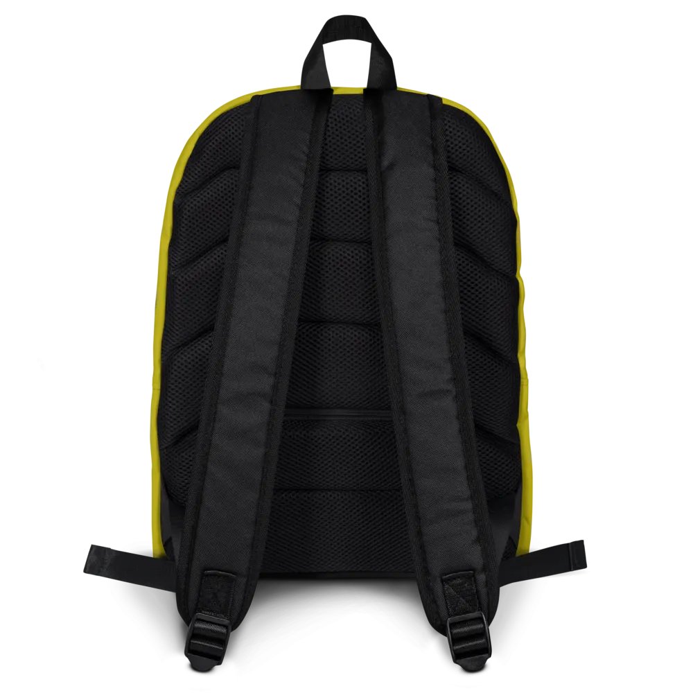 Mid Continent Airlines - Backpack product image (4)