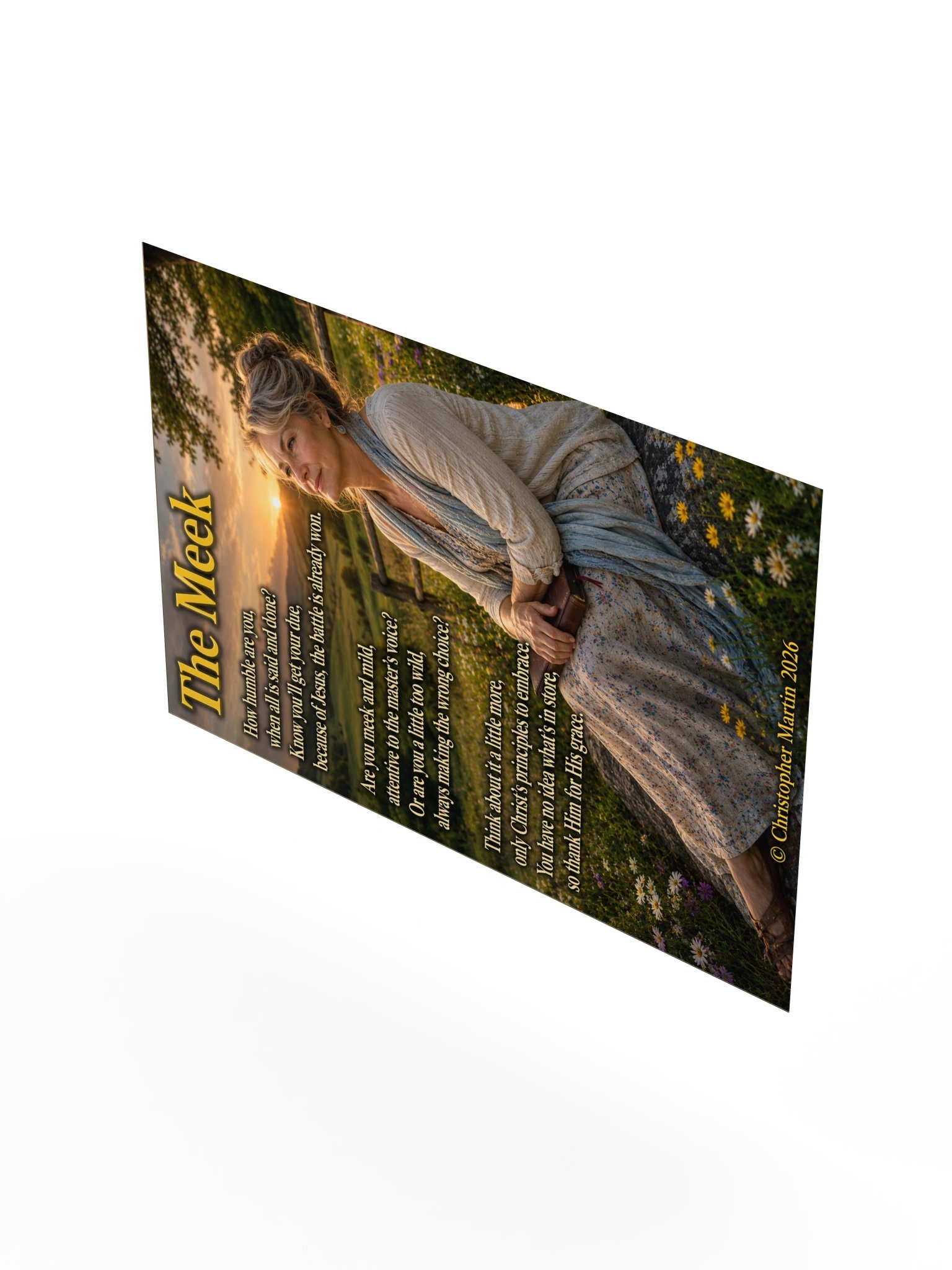 The meek product image (8)