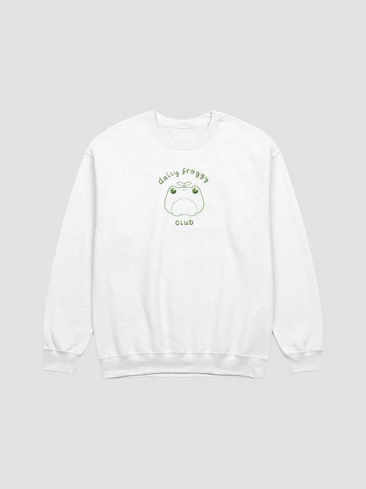 Daily Froggy Club Embroidered Sweater product image (16)