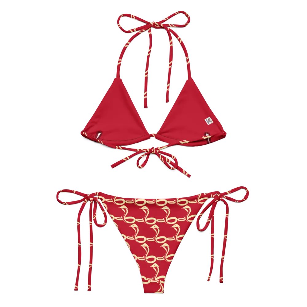 Snake Song Recycled Bikini Set product image (1)