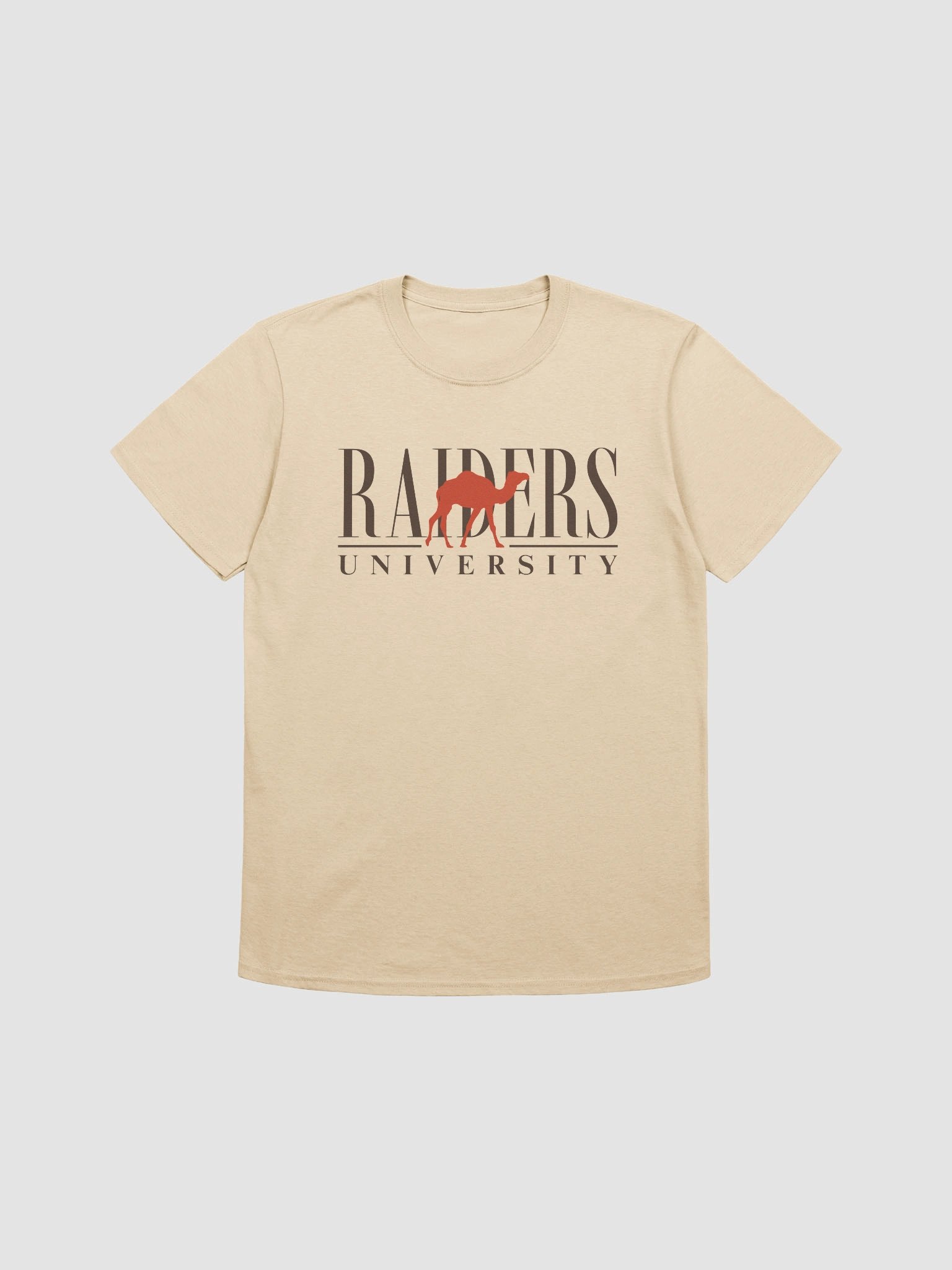 Raiders University Tee product image (1)