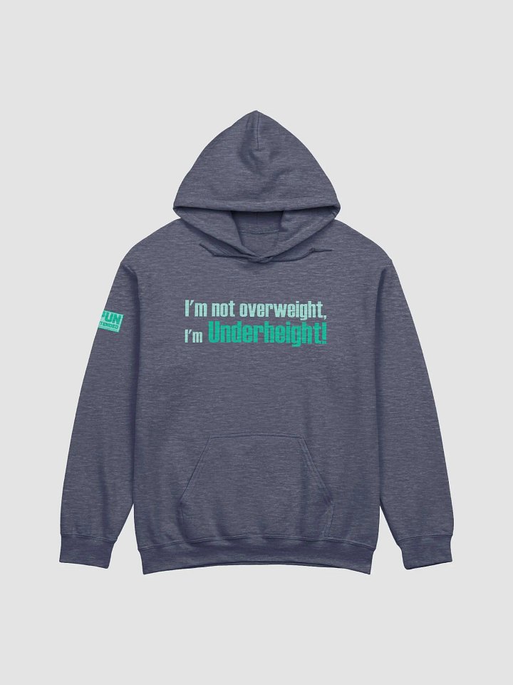 Underheight Hoodie product image (11)
