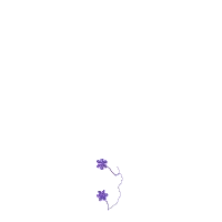 Border1 product image (2)