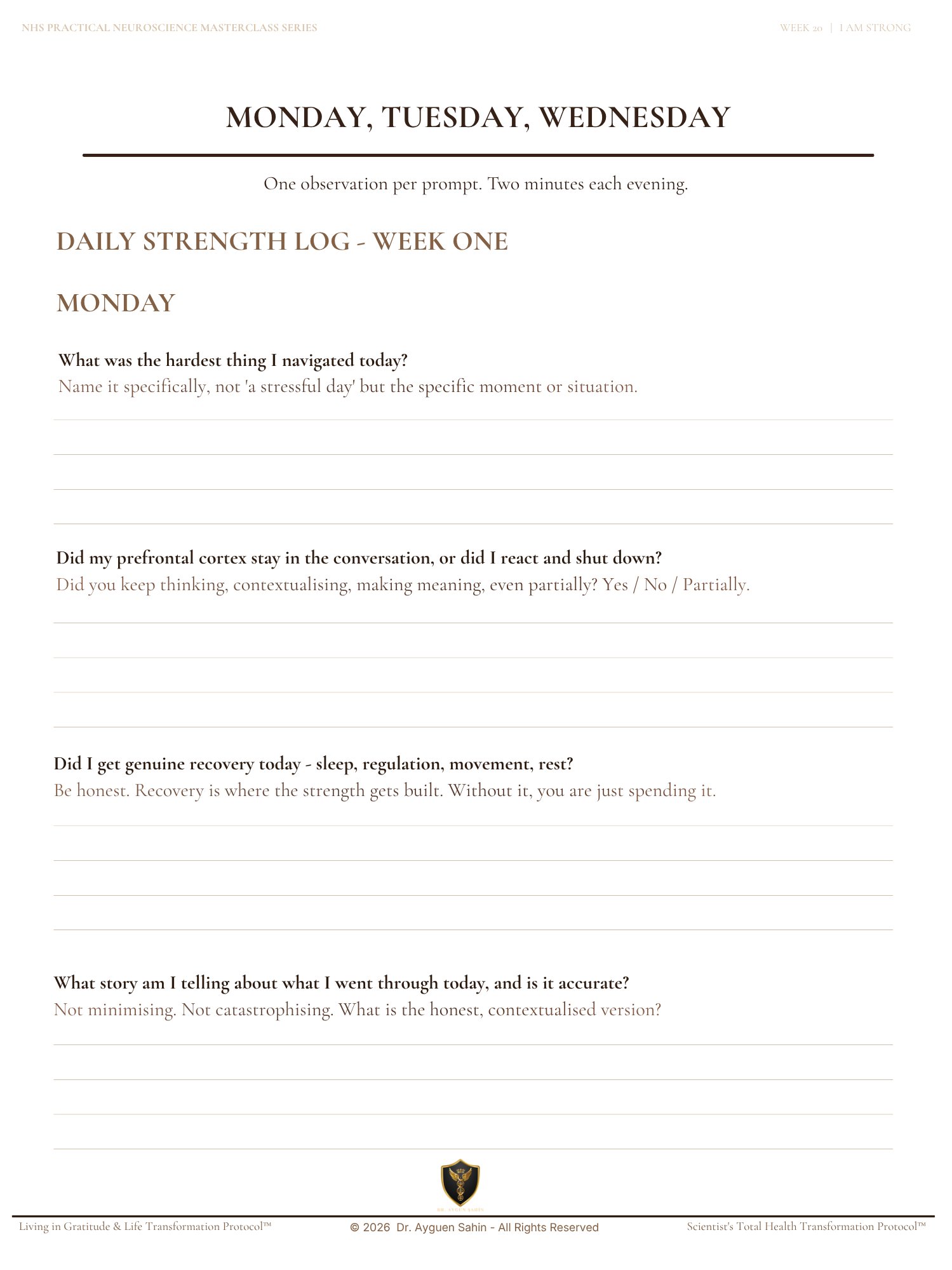 THE STRENGTH AUDIT product image (3)