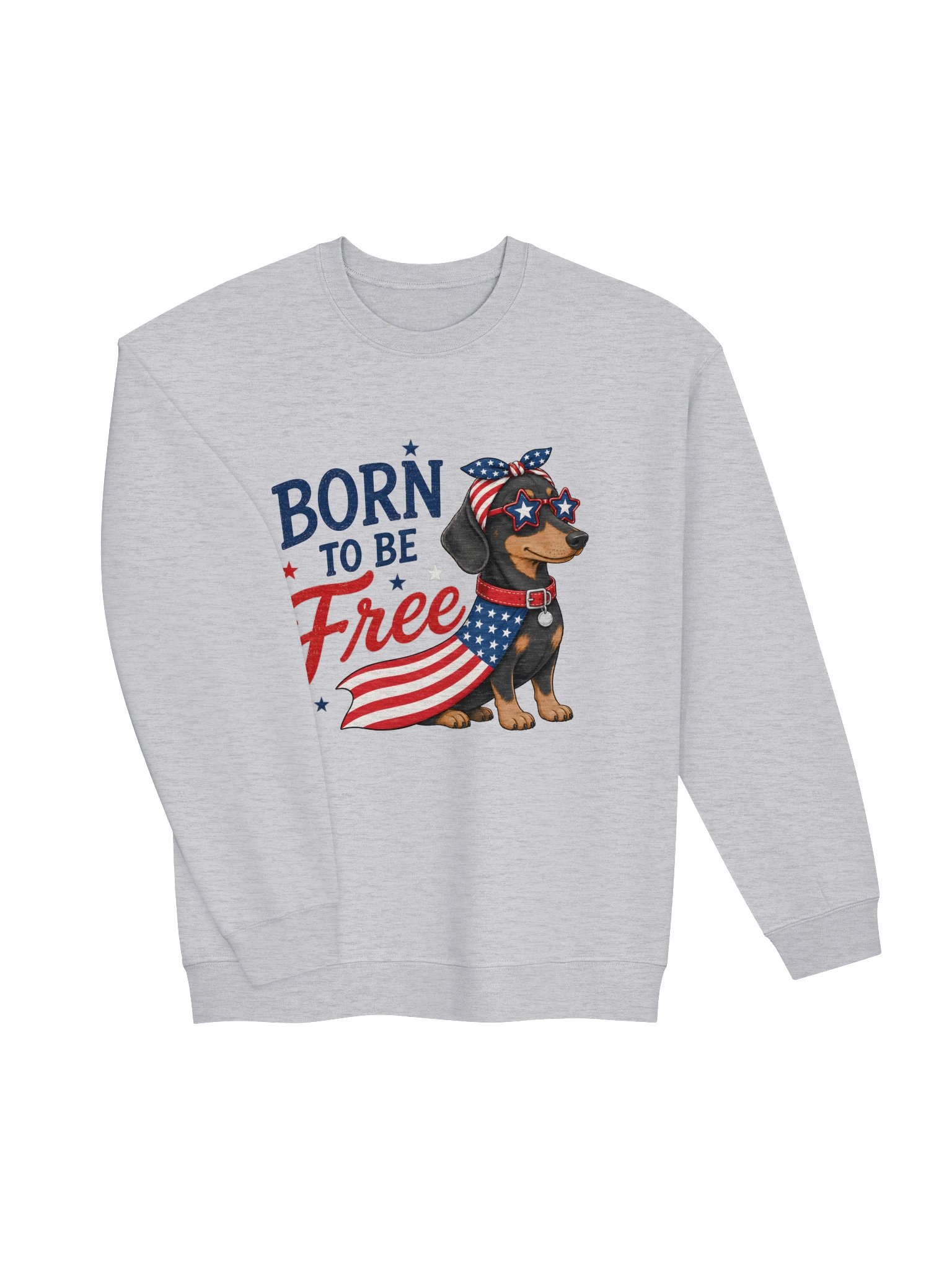 Born To Be Free Sweashirt product image (15)