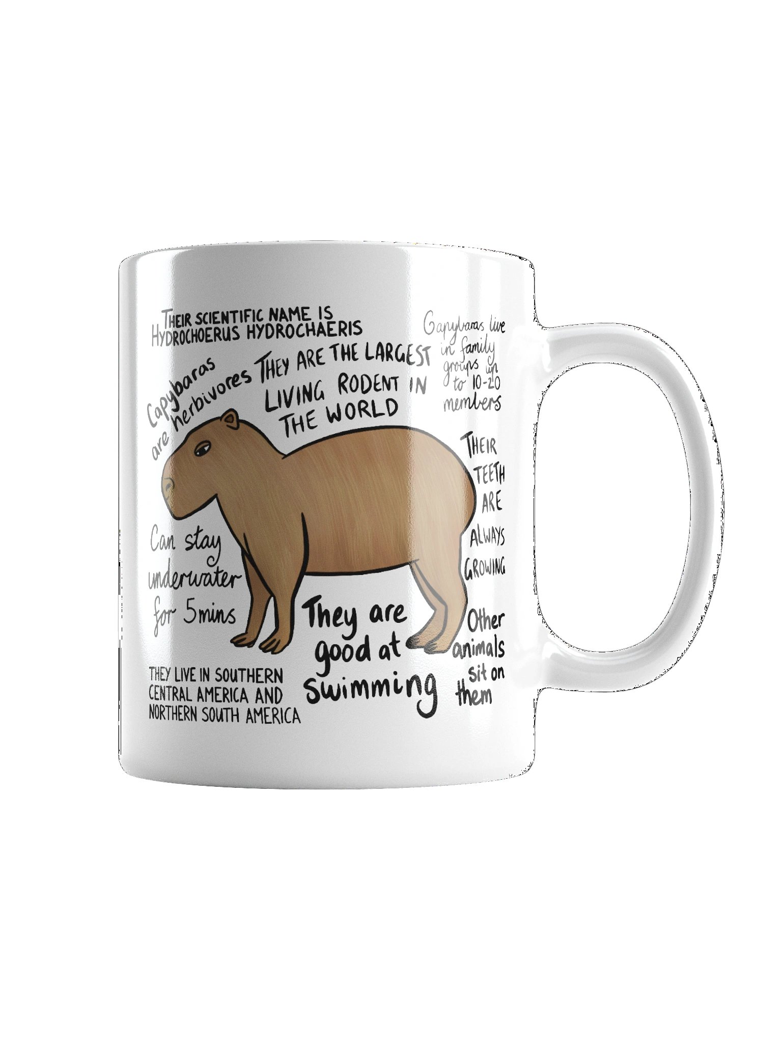 Capybara Facts Mug product image (4)