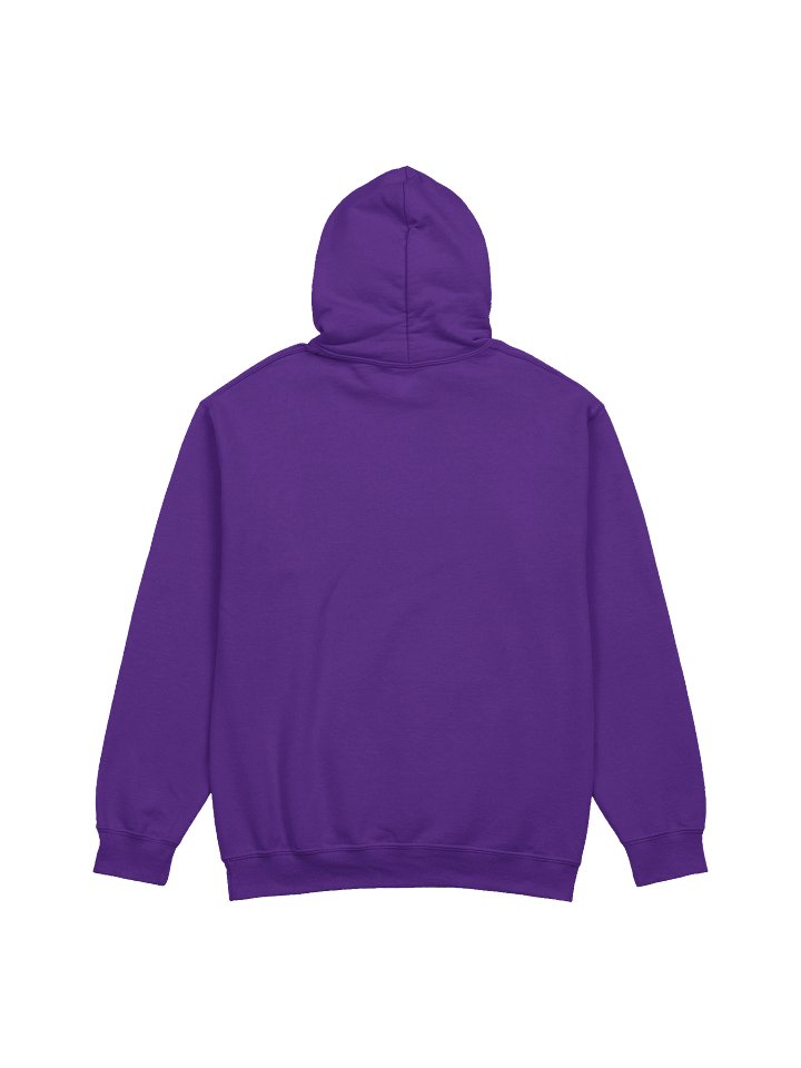 Out Live Your Opps hoodie product image (2)