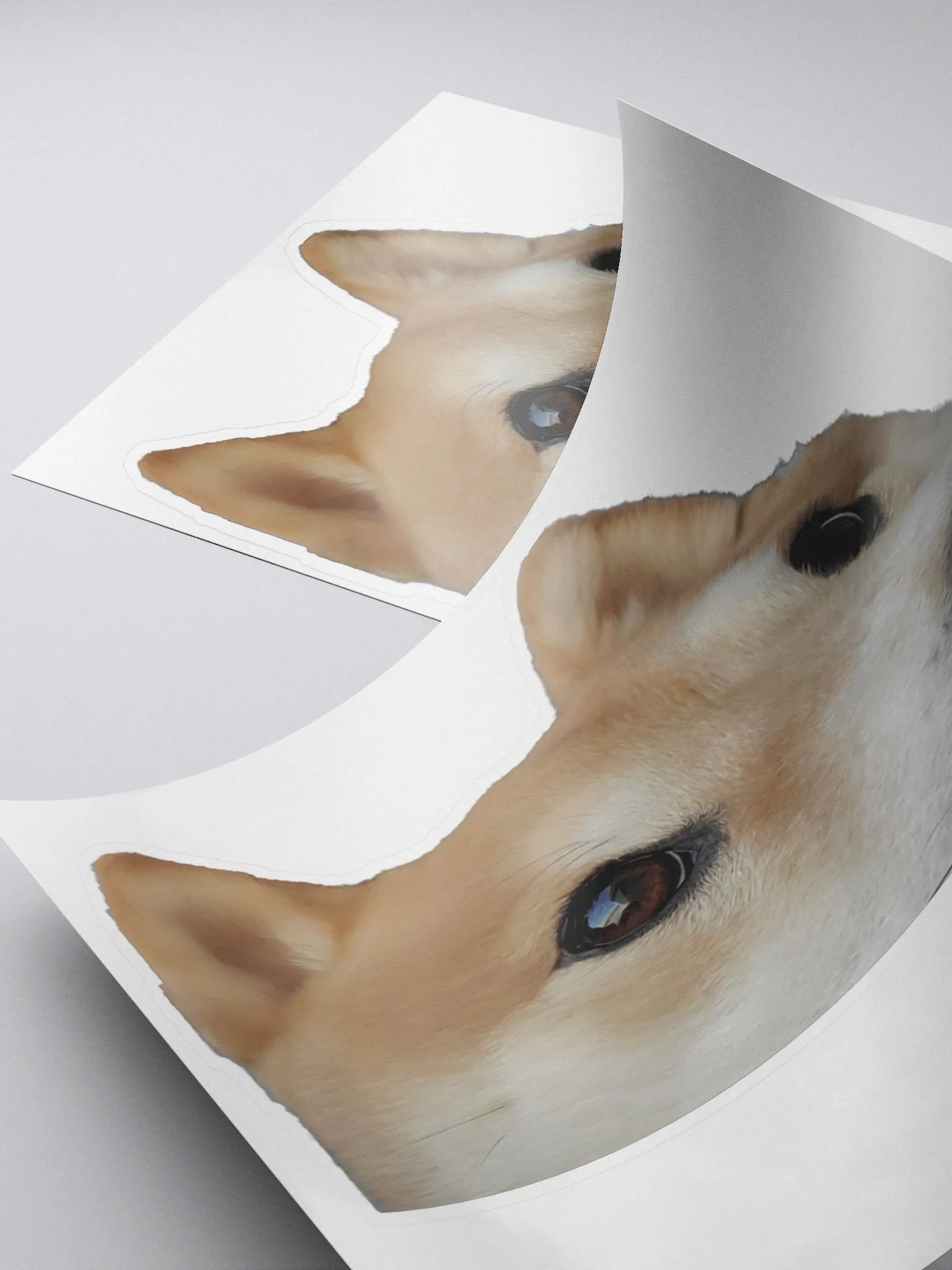 Dandelion Peek (Sticker) product image (4)