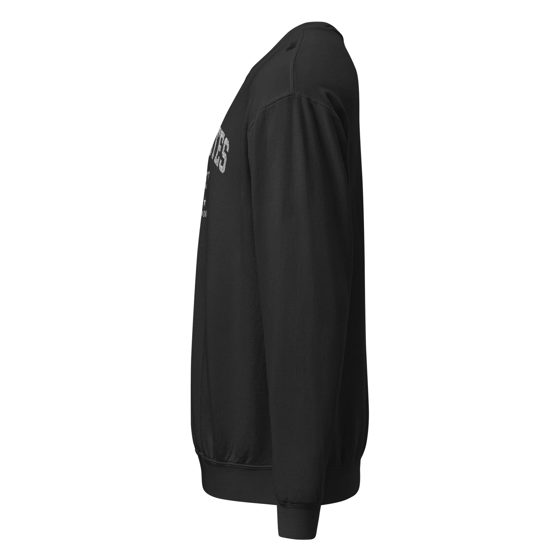 Liner Notes University Sweatshirt product image (3)