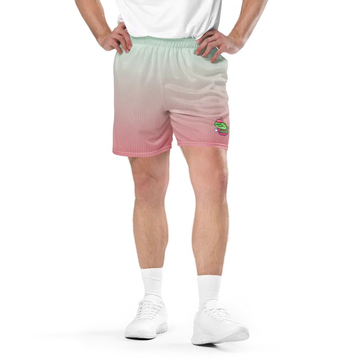 Melonheads Shorts product image (1)