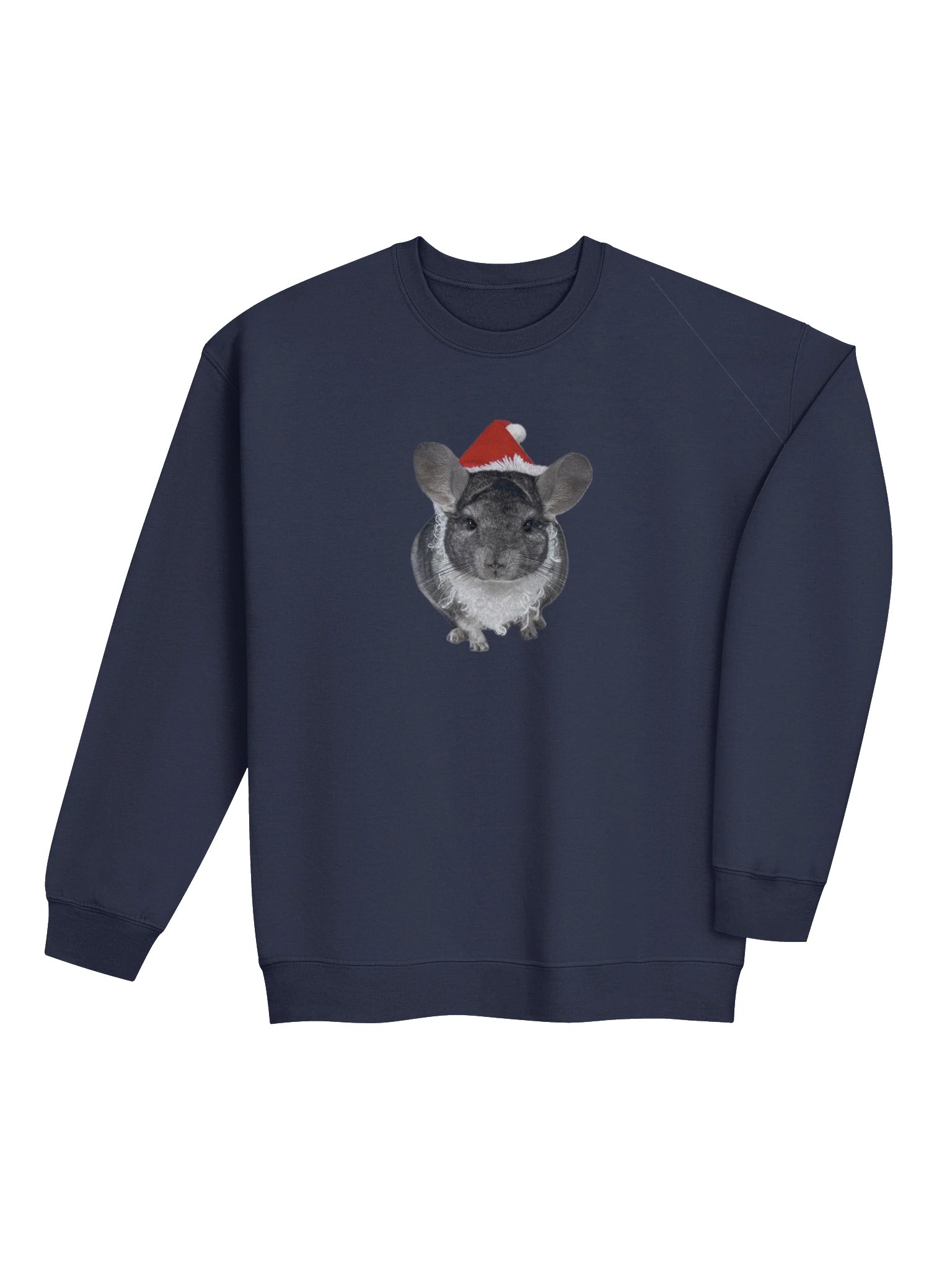 Philly Sant-Chilly Sweatshirt product image (4)