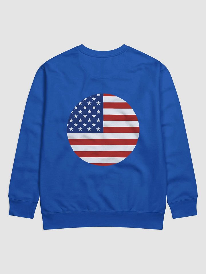 Stars & Stripes 2024 Presidential Election Premium Sweatshirt product image (2)