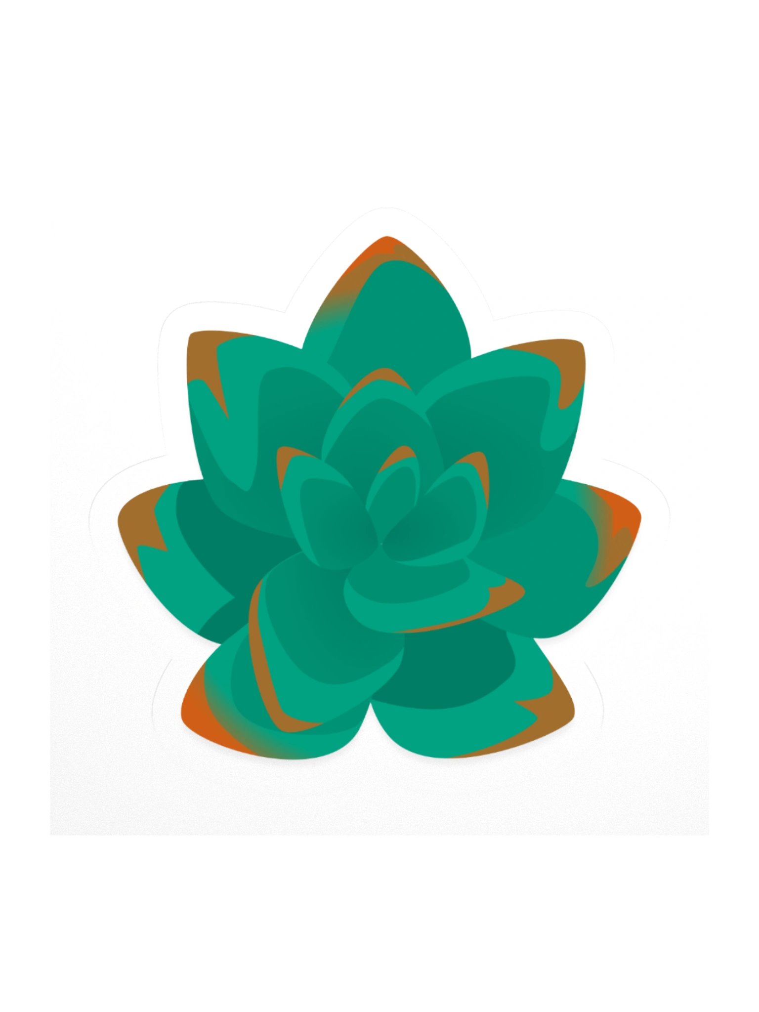 Echeveria product image (1)