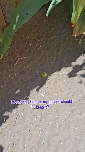 I found this thing in my garden should I keep it? #minecraft #verity #idk #how #post