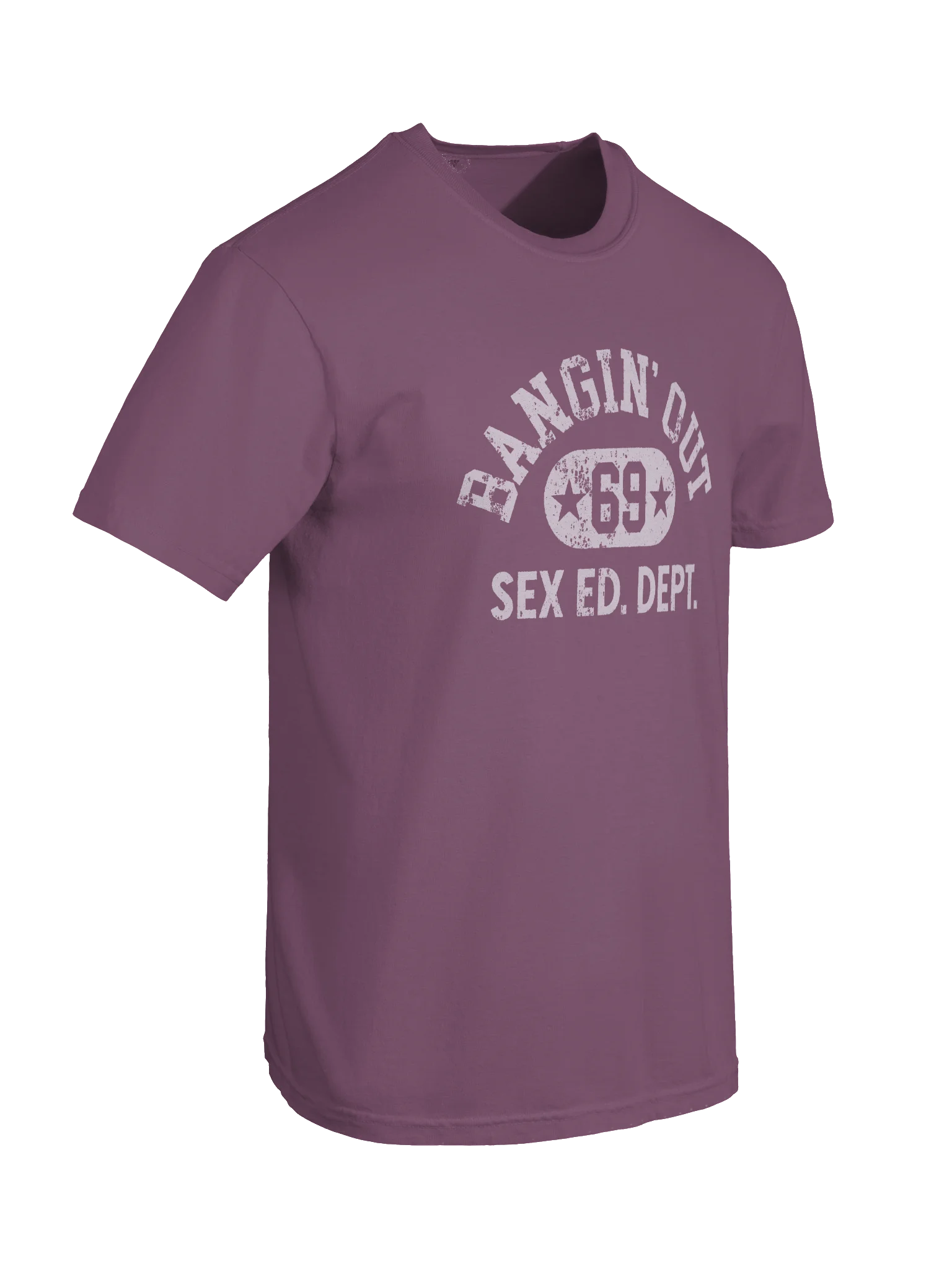 Sex Ed Dept. T-Shirt - Berry product image (7)