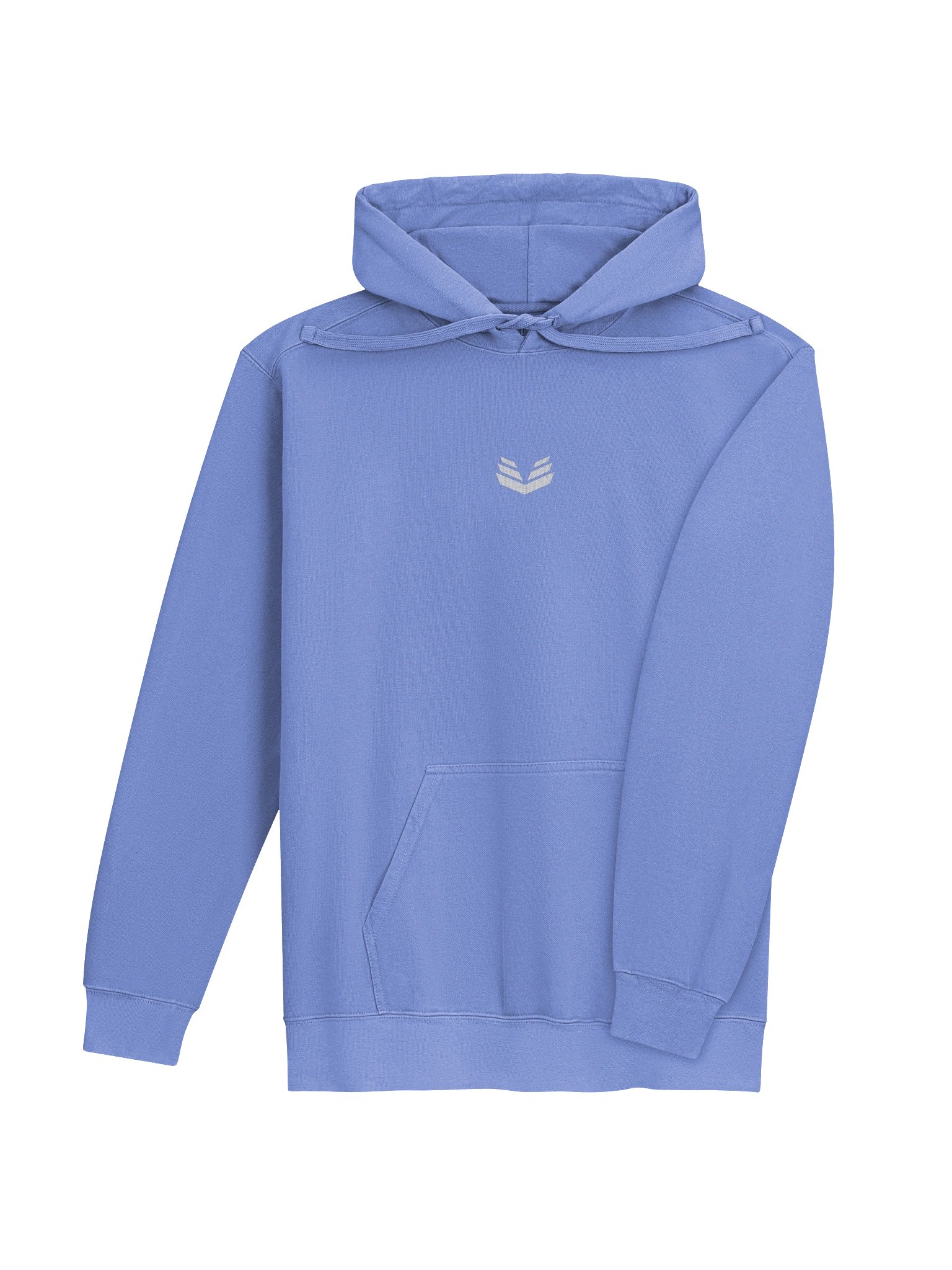 Icon Hoodie - Flo Blue product image (4)