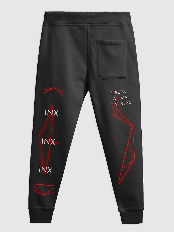 InX Sweatpants product image (4)