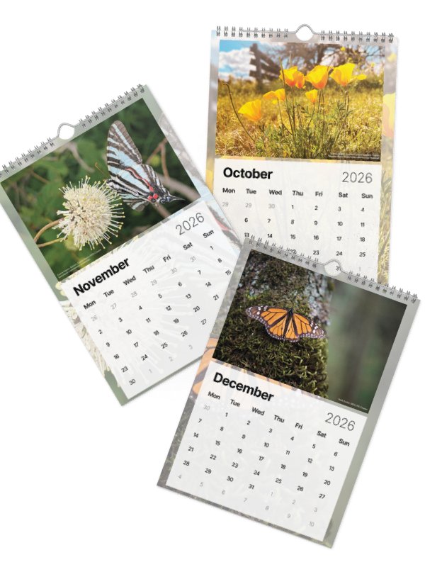 2026 Wall Calendar product image (5)