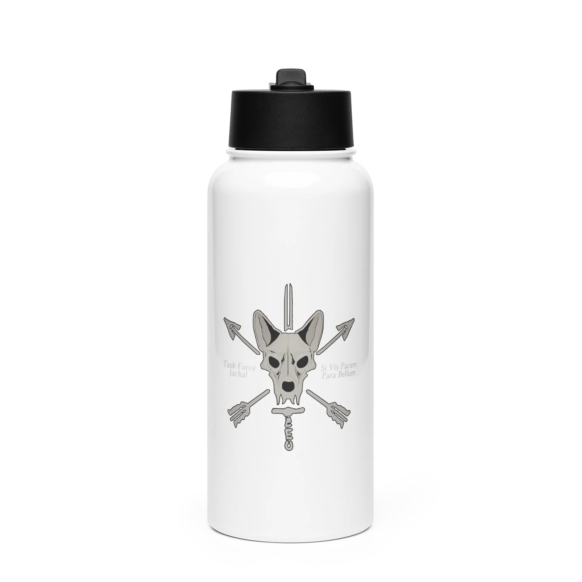 Stainless Steel Water Bottle with a Straw Lid product image (1)