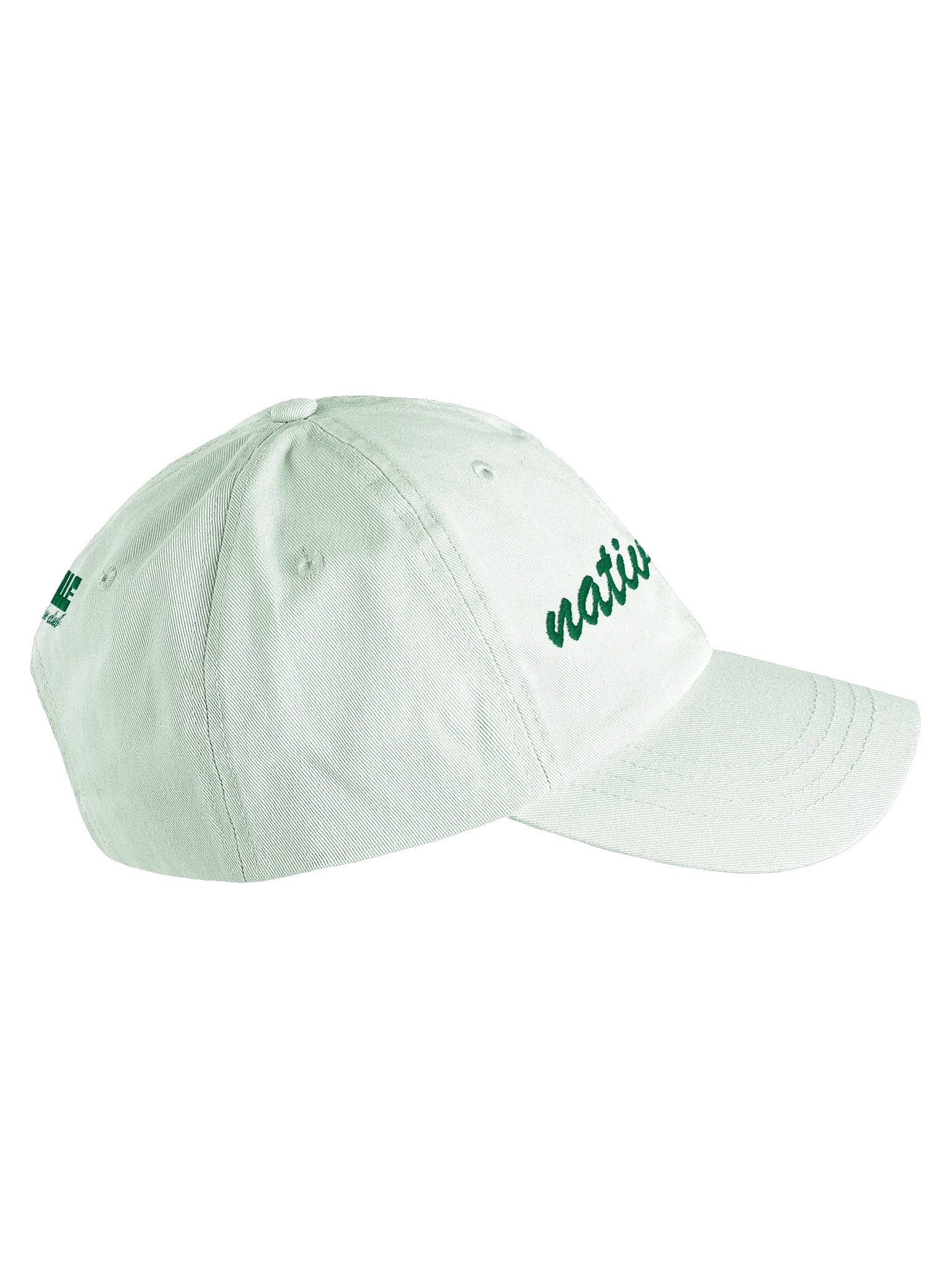 Native Plants Embroidered Dad Hat product image (4)