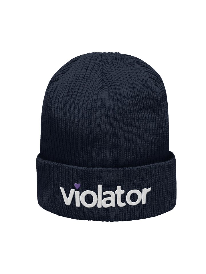 Violator Beanie 💜 product image (1)