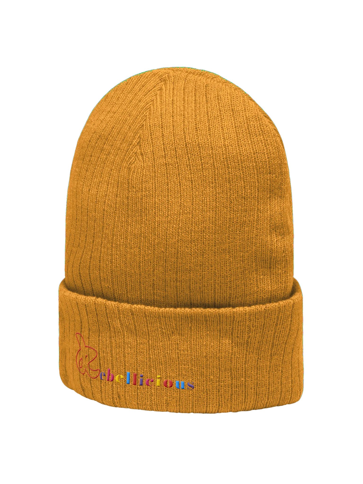 Rebellicious Ribbed Beanie product image (21)