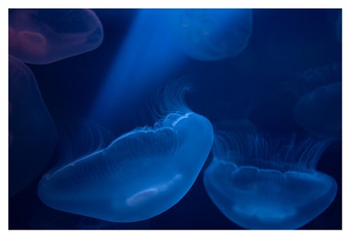 Traveling 
.
.
#underthesea