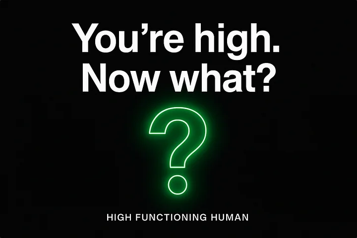 How to Get Sh*t Done When You’re High product image (1)