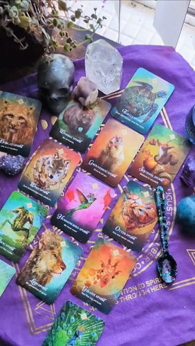 ✨🌕New Moon Stardust Animals🌕✨

🌐Collective - Bobcat
♈Aries - Wombat
♉Taurus - Turtle
♊Gemini - Squirrel
♋Cancer - Wolf
♌Leo -...